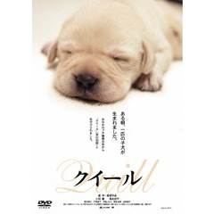 クイール（ＤＶＤ）
