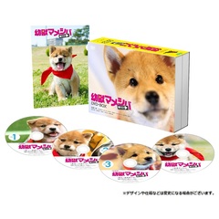 ドラマ「幼獣マメシバ　望郷篇」DVD－BOX（ＤＶＤ）