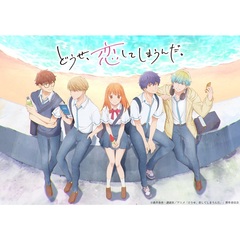 どうせ、恋してしまうんだ。 DVD-BOX Vol.2（ＤＶＤ）