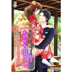 旦那様は、イジワル御曹司～華麗なる政略結婚！～