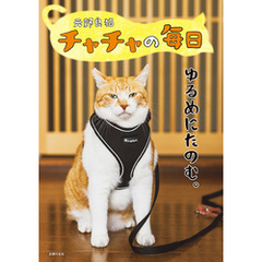 元野良猫チャチャの毎日