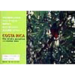 Ｃｏｓｔａ　Ｒｉｃａ　Ｔｈｅ　ｂｉｒｄ’ｓ　ｐａｒａｄｉｓｅ