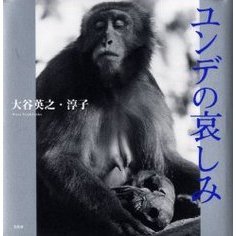 ユンデの哀しみ