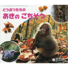 サンチャイルド・ビッグサイエンス　２０１４－１１　どうぶつたちのあきのごちそう
