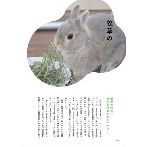 うさぎのヒミツ 通販｜セブンネットショッピング