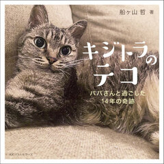 キジトラのテコ パパと過ごした14年の奇跡