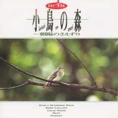 小鳥の森～朝陽のさえずり