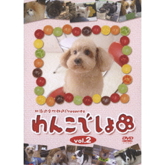 北海道文化放送 Presents 「わんこでしょ」 DVD vol.2（ＤＶＤ）