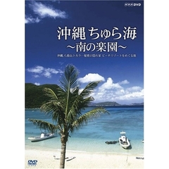 沖縄　ちゅら海～南の楽園～沖縄、八重山、トカラ・・・秘密の隠れ家　ビーチリゾートをめぐる旅（ＤＶＤ）