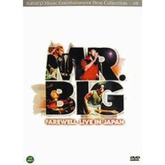 MR.BIG（ＤＶＤ）