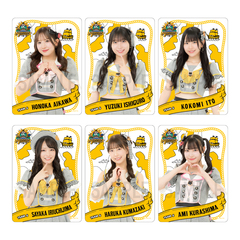 【SKE48】【チームS】SKE48 17th Anniversary Festival 2025 クリアトレーディングカード（ランダム全13種+特別仕様13種）