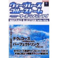 ウェーブレースブルーストームターボライディング