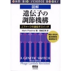 図解遺伝子の調節機構　λファージの遺伝子スイッチ　発生・分化の基本原理を解き明かす