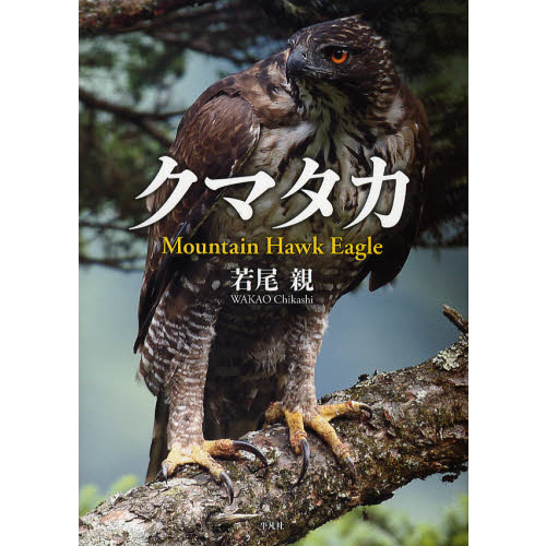 クマタカ生態図鑑 / 若尾親 【図鑑】（若尾親 - Search / X）