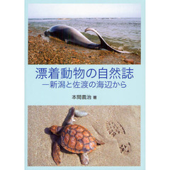 漂着動物の自然誌　新潟と佐渡の海辺から