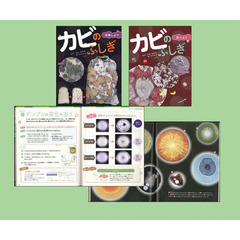 カビのふしぎ　２巻セット