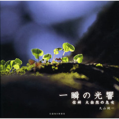 一瞬の光響 信州大自然の息吹