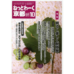 ねっとわーく京都２０１３　１０