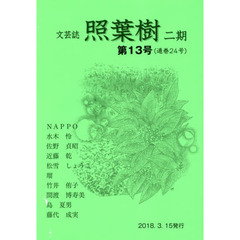 照葉樹　２期　　１３