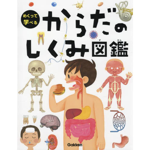 めくって学べるからだのしくみ図鑑 通販｜セブンネットショッピング