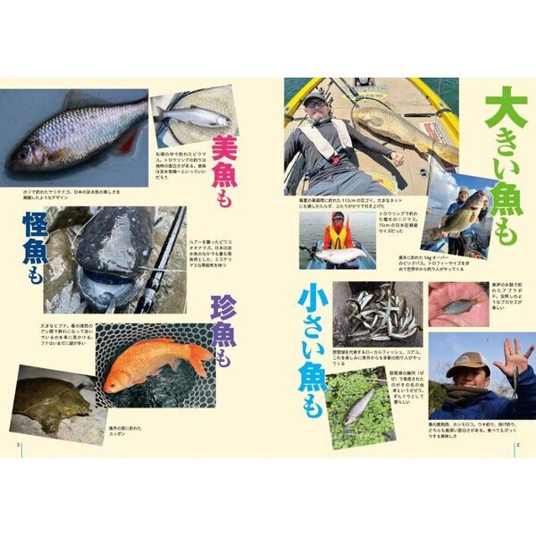 琵琶湖の釣魚大全 22種の生態・釣り方・道具がわかる超入門書 通販