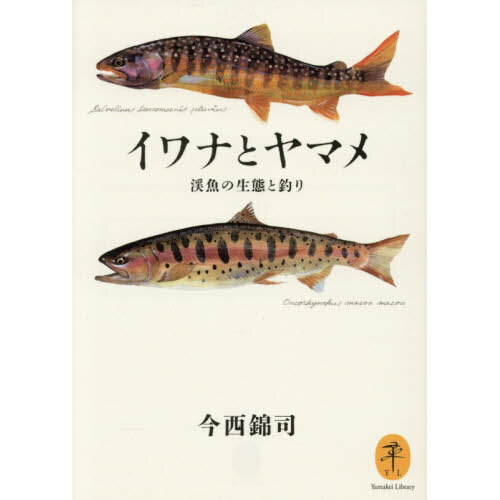 イワナとヤマメ 渓魚の生態と釣り 通販｜セブンネットショッピング