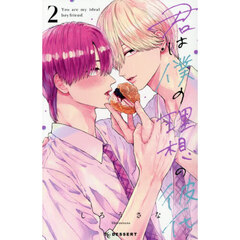 君は僕の理想の彼氏　２