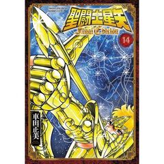 聖闘士星矢 Final Edition 14