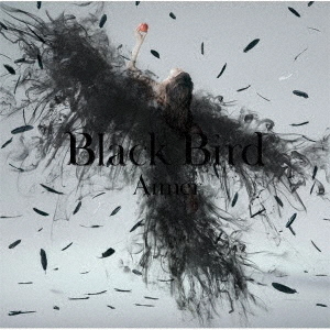 ֥ͥåȥåԥ󥰤㤨AimerBlackBirdTinyDancersפФϴǡ̾סˡפβǤʤ1,375ߤˤʤޤ