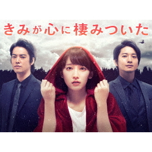 『きみが心に棲みついた』Blu-ray－BOX きみが心に棲みついた Blu-ray BOX（Blu－ray Disc