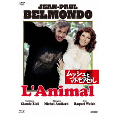 ムッシュとマドモアゼル（ＤＶＤ）