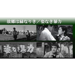 故郷は緑なりき／姿なき暴力（ＤＶＤ）