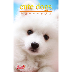 cute dogs30 日本スピッツ