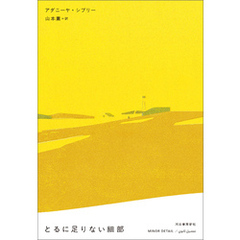 とるに足りない細部