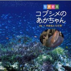 コブシメのあかちゃん