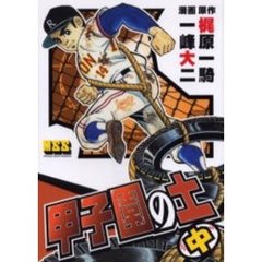甲子園の土　中