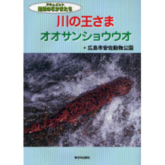 川の王さまオオサンショウウオ