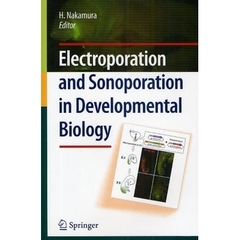 Ｅｌｅｃｔｒｏｐｏｒａｔｉｏｎ　ａｎｄ