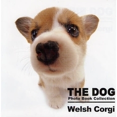 ＴＨＥ　ＤＯＧ　Ｐｈｏｔｏ　Ｂｏｏｋ　Ｃｏｌｌｅｃｔｉｏｎ　Ｗｅｌｓｈ　Ｃｏｒｇｉ