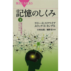 記憶のしくみ　下　脳の記憶貯蔵のメカニズム