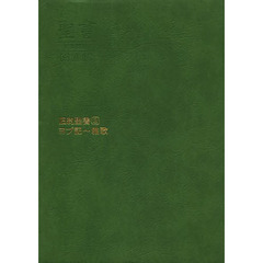旧約聖書　聖書新共同訳分割版　３　ヨブ記～雅歌
