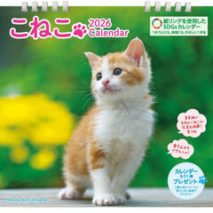 こねこカレンダー２０２６