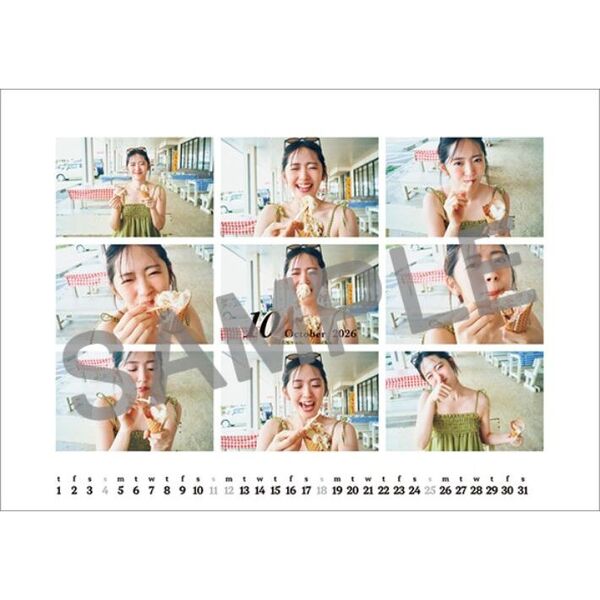 卓上 鈴木愛理 4月始まり 2026年カレンダー 通販｜セブンネット