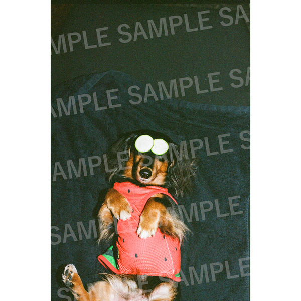 すしらーめん りく1st写真集 さいごのふたり【セブンネット限定特典