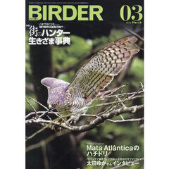 ＢＩＲＤＥＲ　2025年3月号