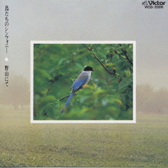 鳥たちのシンフォニー　野山にて