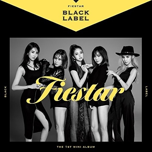 ֥ͥåȥåԥ󥰤㤨FIESTAR1ST MINI ALBUM : BLACK LABEL͢סˡפβǤʤ1,433ߤˤʤޤ