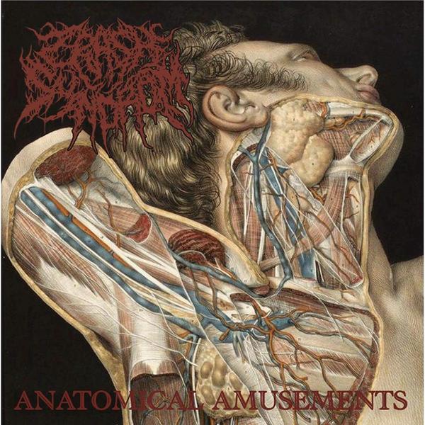 ֥ͥåȥåԥ󥰤㤨AnatomicalAmusementsפβǤʤ1,100ߤˤʤޤ