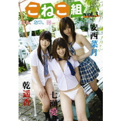 ビンビン学園こねこ組 Vol.3（ＤＶＤ）