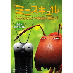ミニスキュル ～小さなムシの秘密の世界～ 【雪山の追いかけっこ篇】（ＤＶＤ）